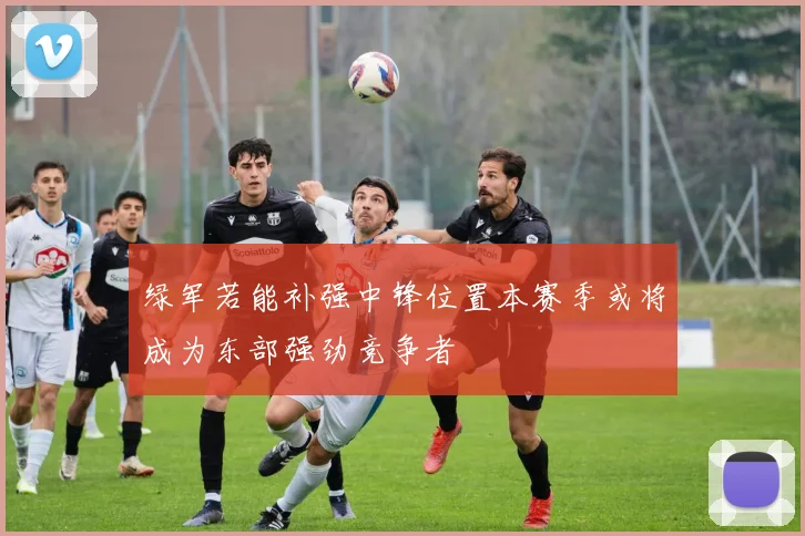 绿军若能补强中锋位置本赛季或将成为东部强劲竞争者