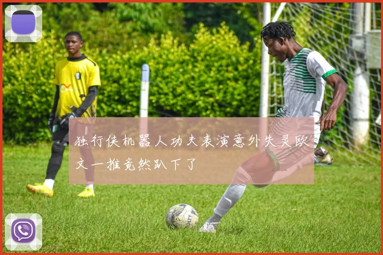 独行侠机器人功夫表演意外失灵欧文一推竟然趴下了