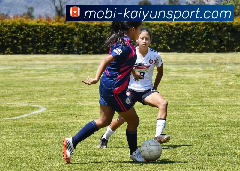 App Interface Preview