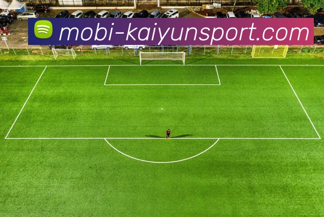 开云体育APP 封面图