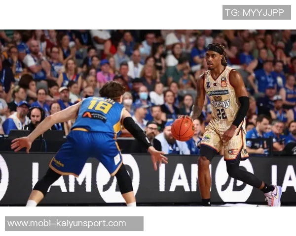 黄蜂队势不可挡连胜七场附加赛希望在望仅差一胜