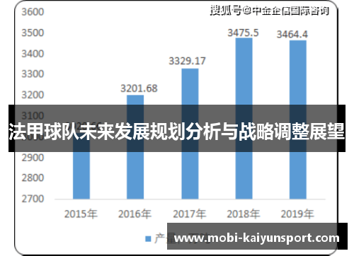 法甲球队未来发展规划分析与战略调整展望