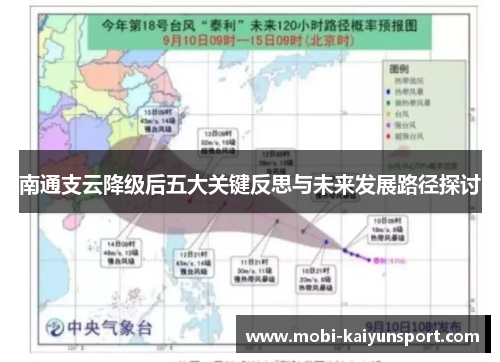 南通支云降级后五大关键反思与未来发展路径探讨