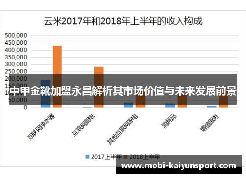 中甲金靴加盟永昌解析其市场价值与未来发展前景
