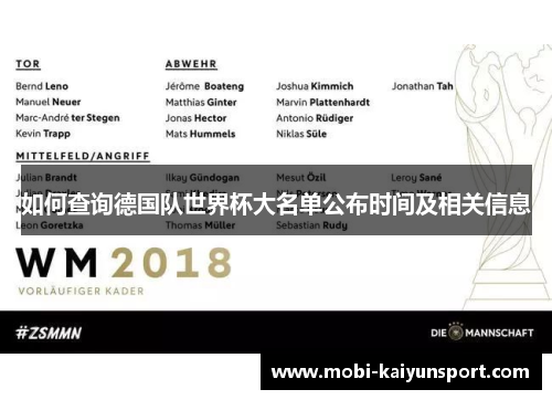 如何查询德国队世界杯大名单公布时间及相关信息