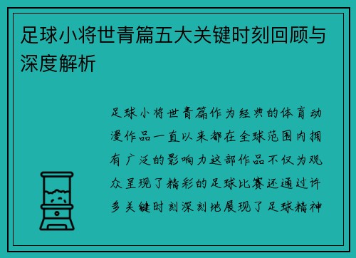 足球小将世青篇五大关键时刻回顾与深度解析