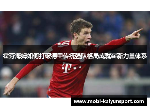 霍芬海姆如何打破德甲传统强队格局成就崭新力量体系
